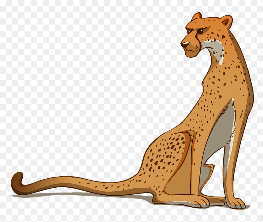 Cheetah Clipart - Kangaroo, HD Png Download - cheetah print png