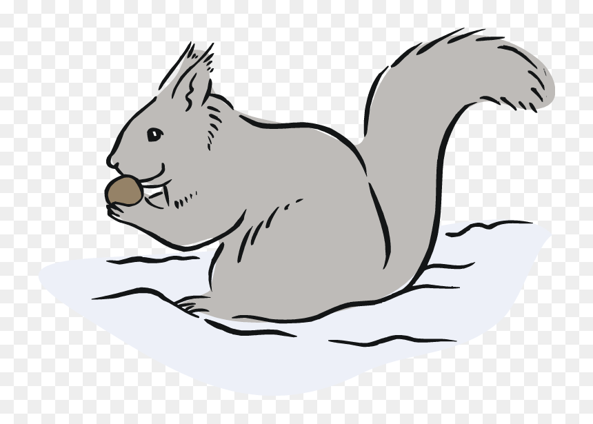 Free Gray Squirrel Cliparts, Download Free Clip Art, - Gray Squirrel Clipart, HD Png Download - squirrel clipart png