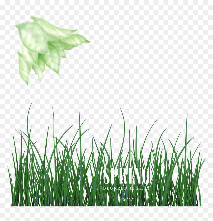 Green Euclidean Vector - New Bagraund Png, Transparent Png - grass background png