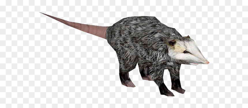 Opossum Zoo Tycoon 2, HD Png Download - possum png