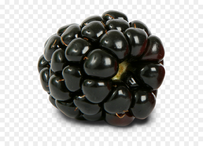 Blackberry Png, Transparent Png - blackberry png