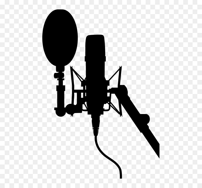 Rode Nt1 Price In Pakistan, HD Png Download - microphone vector png