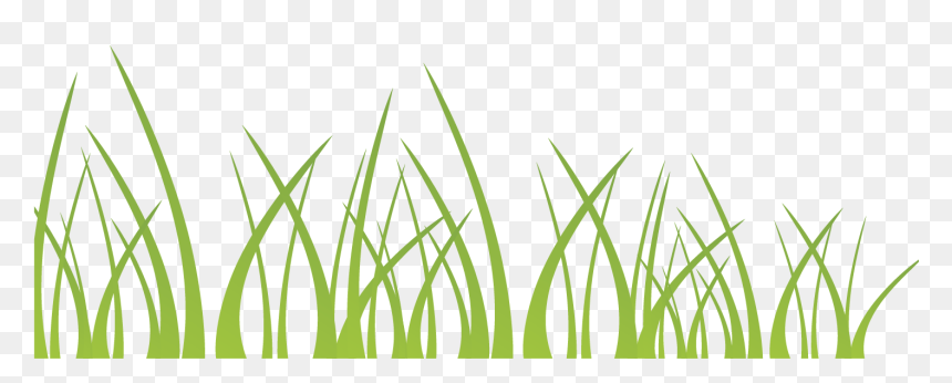 Vector Green Grass Decoration Illustration Background - Grass, HD Png Download - grass background png