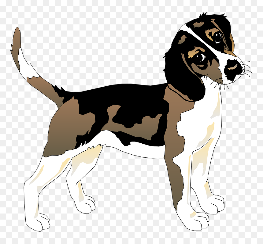 Beagle Clipart Black And White, HD Png Download - dog vector png