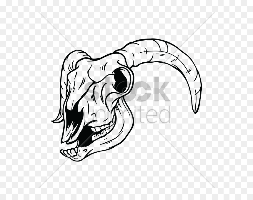 Transparent Ram Skull Clipart - Illustration, HD Png Download - skull vector png