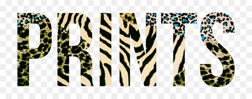 Header - Illustration, HD Png Download - cheetah print png