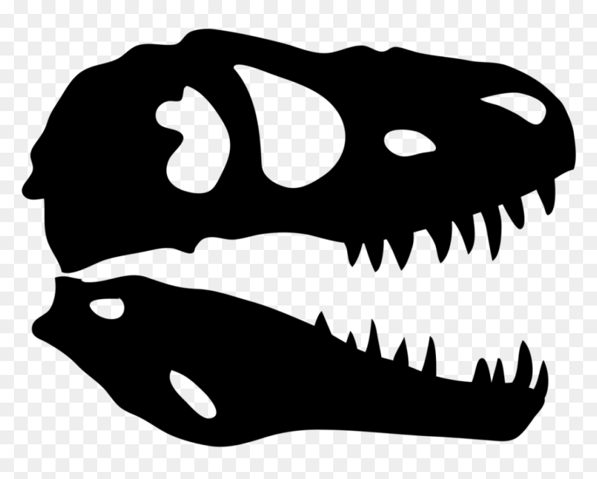 Dinosaur Skull X-ray - Pangaea Land Of Dinosaurs, HD Png Download - skull vector png