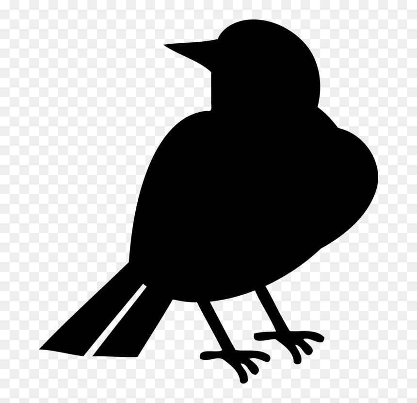 Silhouette,monochrome Photography,bird - European Robin, HD Png Download - bird vector png