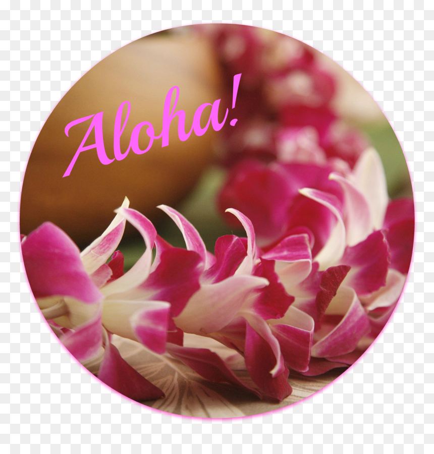 I Assume You Know What A Lei Is - Hawaiian Lei Flowers Wedding, HD Png Download - lei png