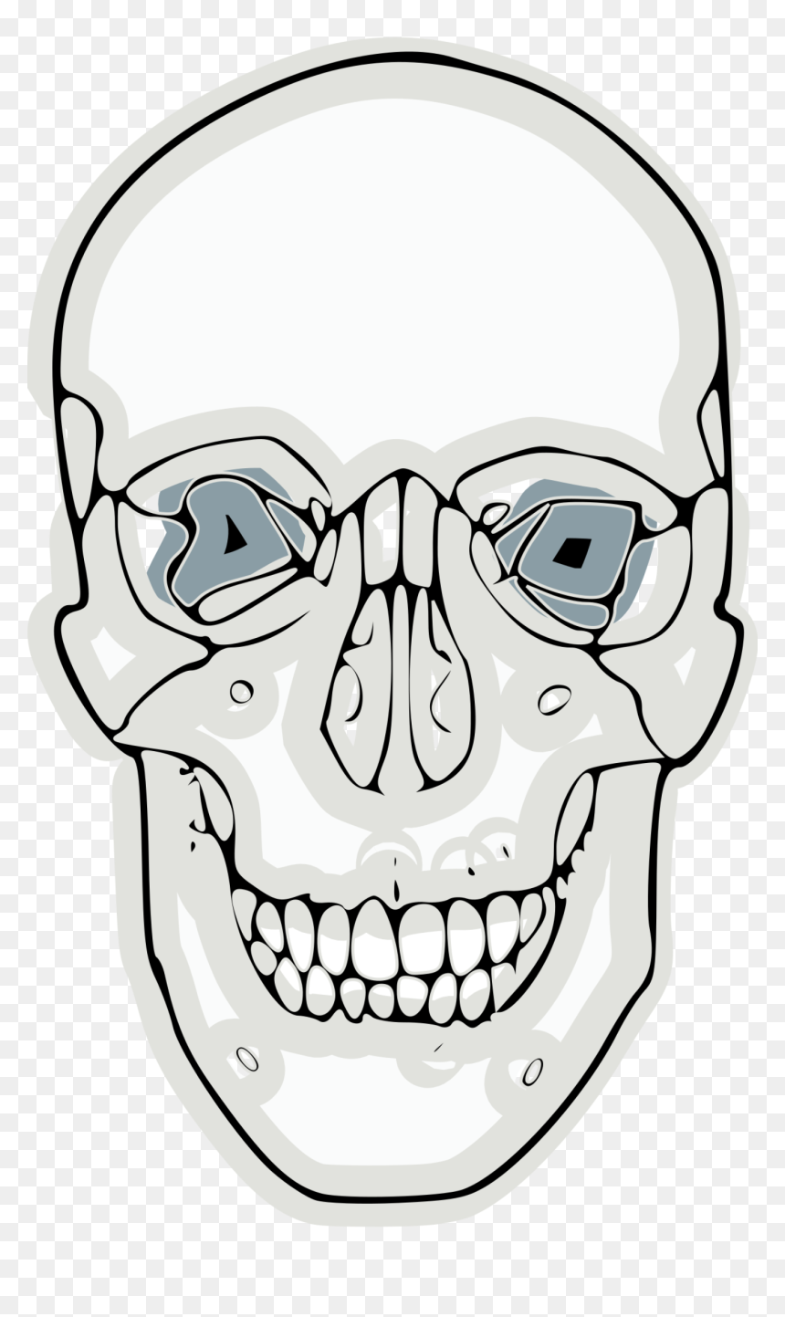 Digitalized Human Skull - Skull, HD Png Download - skull vector png