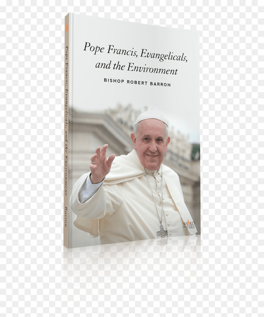 In This Free Ebook, Bishop Barron Reflects On Why So - Pope Francis Statement About Lgbt, HD Png Download - pope francis png