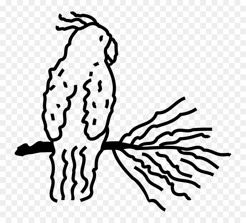 Illustration, HD Png Download - bird vector png