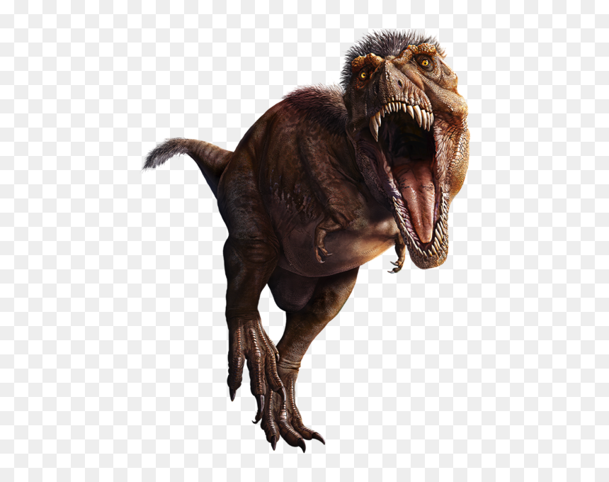 Newimage - American Museum Of Natural History, HD Png Download - tyrannosaurus rex png