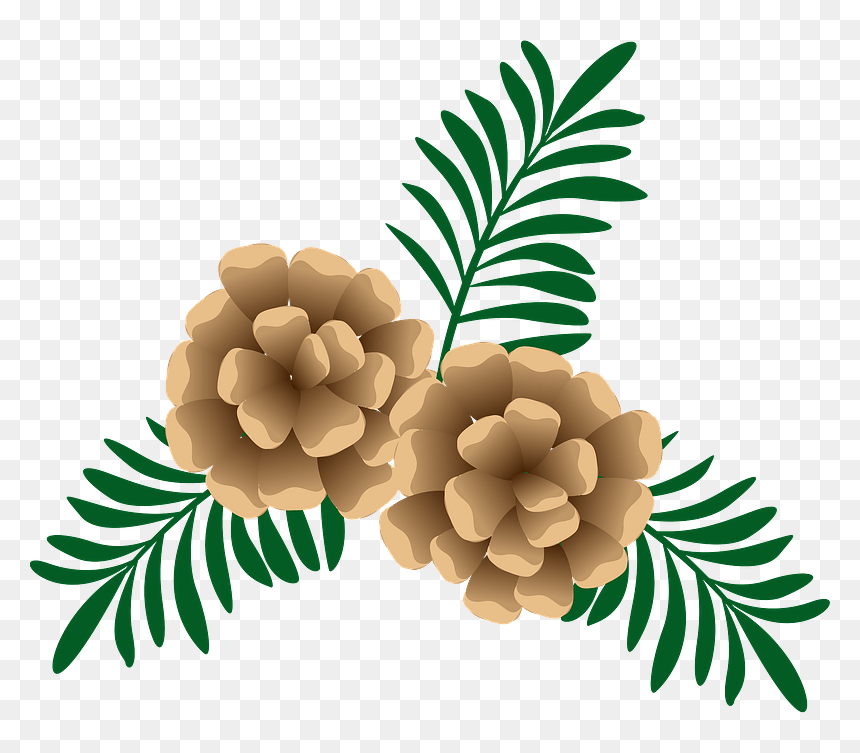 Pinecone Clipart - Illustration, HD Png Download - pinecone png