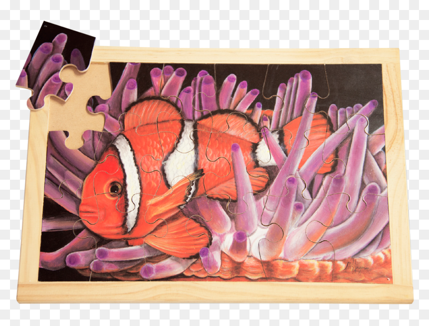 Red Onion, HD Png Download - clown fish png