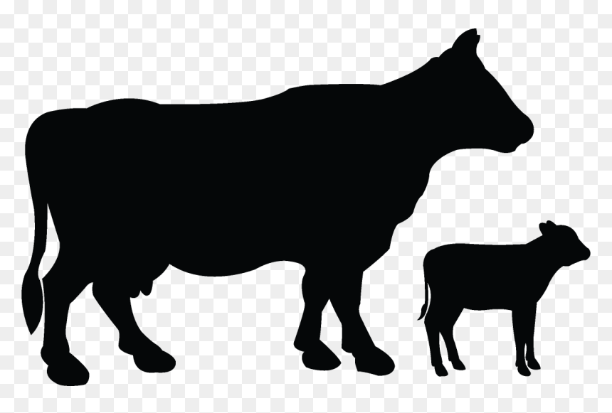 Transparent Pioneer Clipart - Clip Art, HD Png Download - cow silhouette png