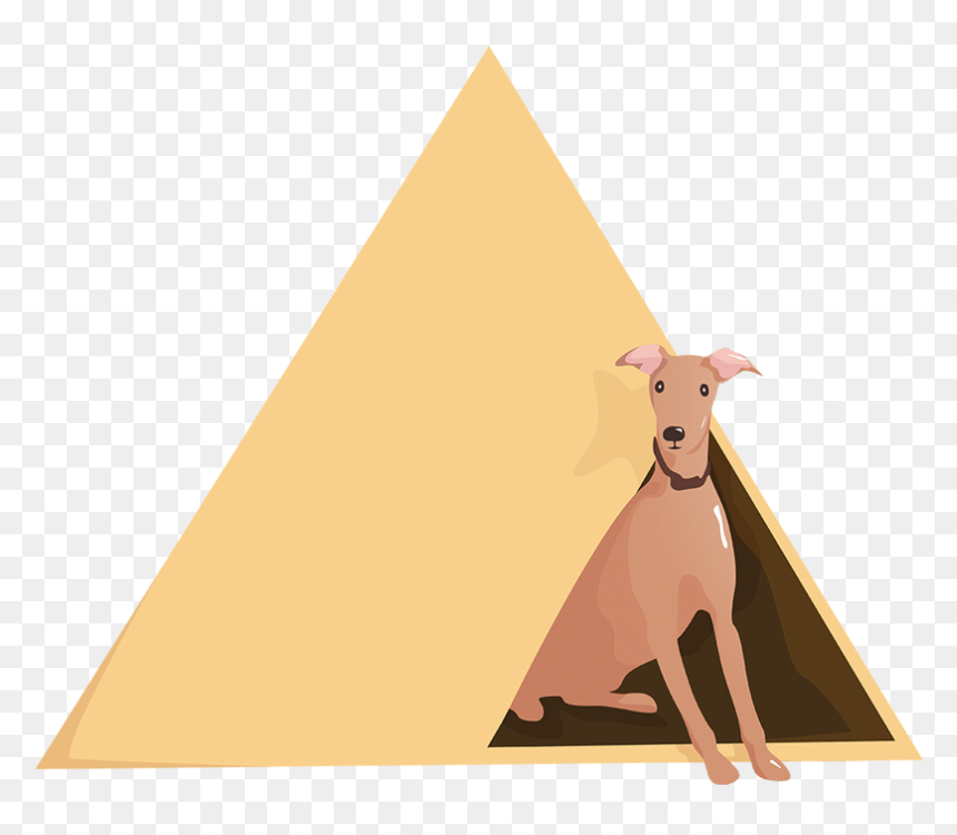 Animal, HD Png Download - dog vector png