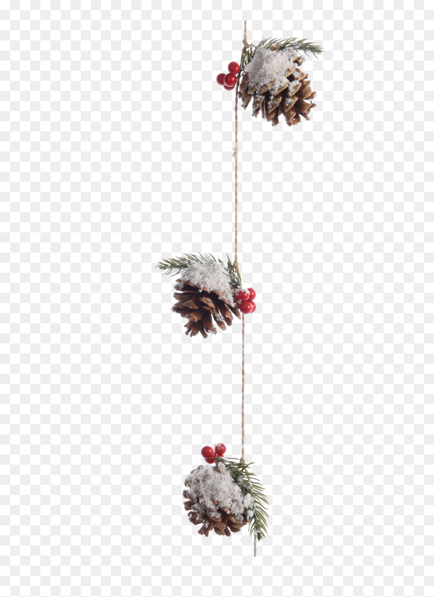Pinecone Garland With Berries And Snow - Oregon Pine, HD Png Download - pinecone png