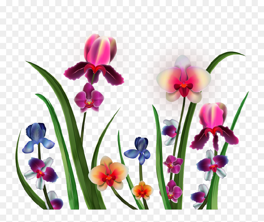Png Клипарт "realistic Vector Delicate Orchids - Clip Art, Transparent Png - orchids png