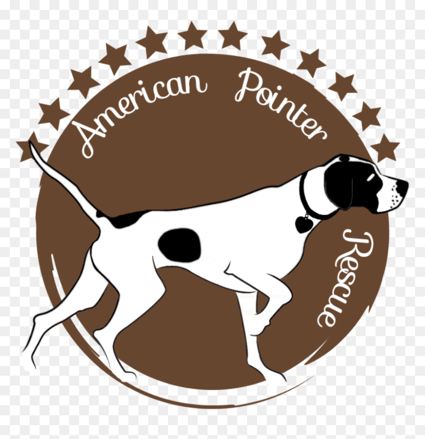 Express Delivery From The North Pole , Png Download - Paramount Logopedia, Transparent Png - north pole png