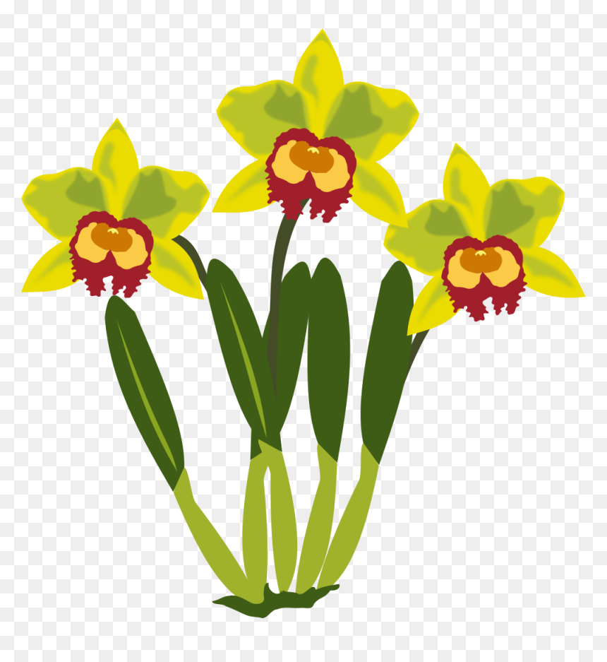 Flower Computer Icons Cattleya Orchids Paper Clip - Flowers Public Domain, HD Png Download - orchids png