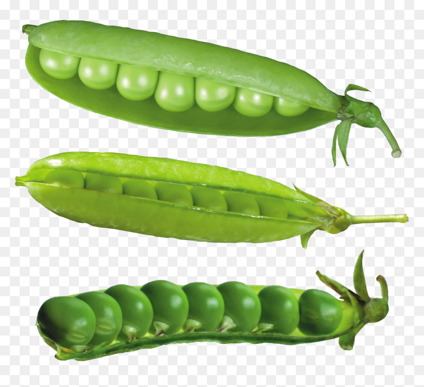 Pea Png Image - Картинка Горох На Прозрачном Фоне, Transparent Png - pea png