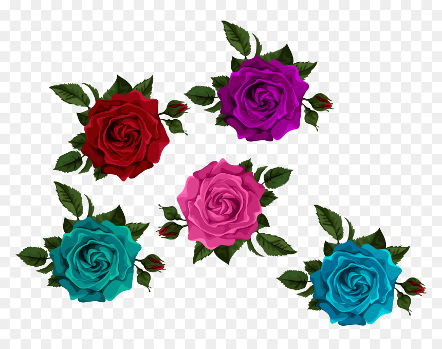 Colorful Roses With Transparent Transparent Background - Transparent Colorful Roses, HD Png Download - rose bud png