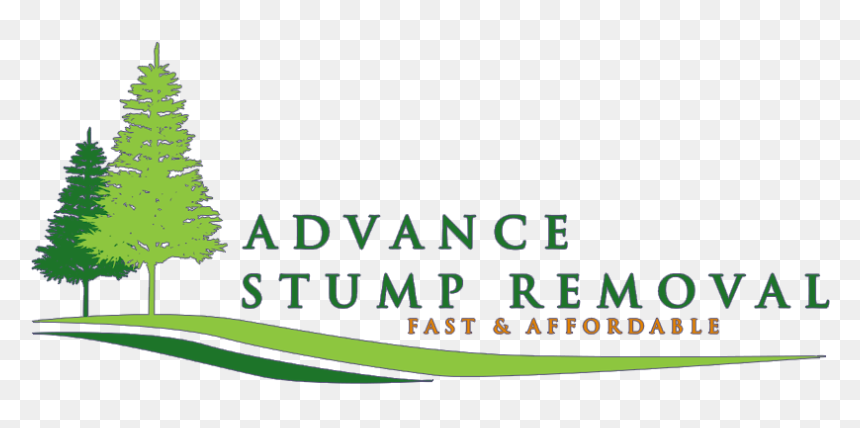 Asr Logo S4 - Seymour Pierce, HD Png Download - tree stump png