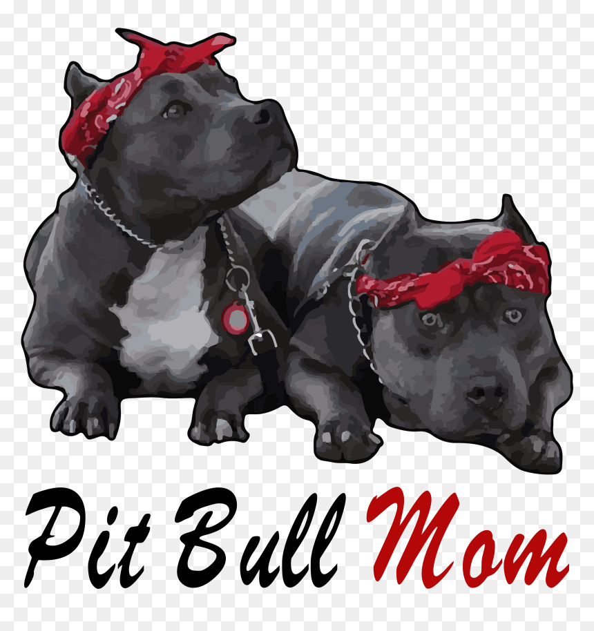 Espaço Mulher Fonte Da Vida, HD Png Download - pit bull png
