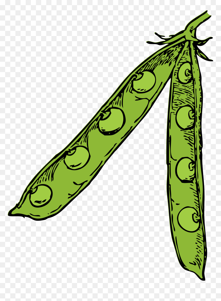 Color Clip Arts - Pea Pod Clip Art, HD Png Download - pea png