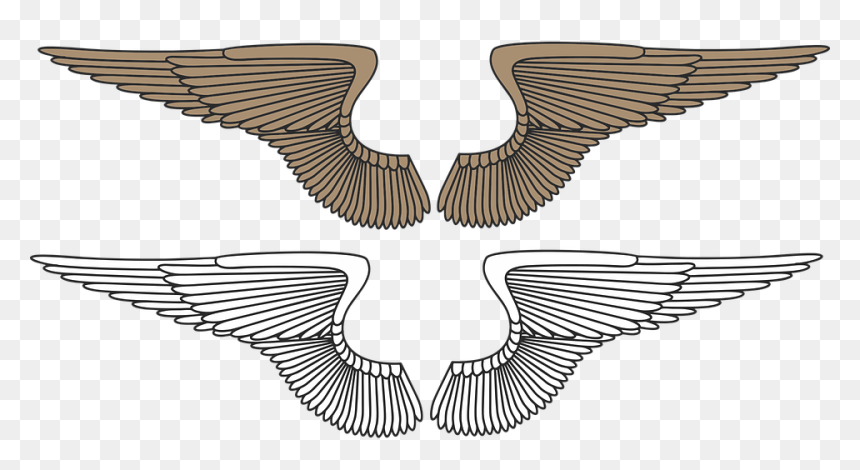 Wing Clip Art, HD Png Download - angel wings vector png