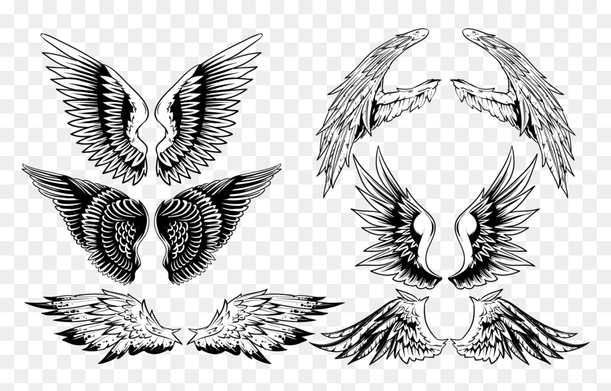 Wing Vector Free Download, HD Png Download - angel wings vector png