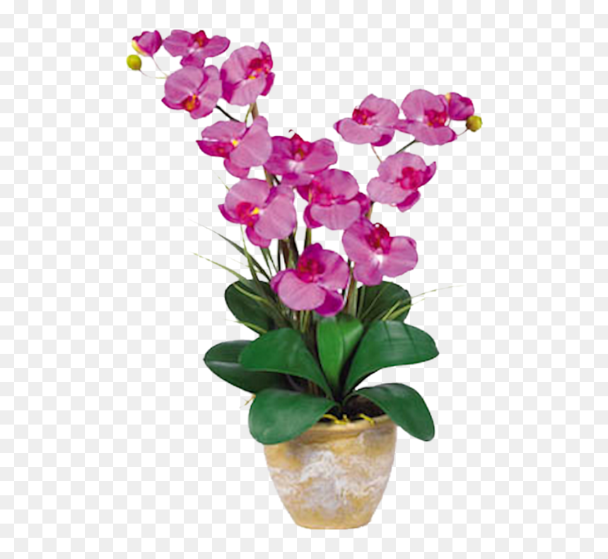Orchid Double Stem Phalaenopsis Silk Orchid Arrangement - Orchid Flower, HD Png Download - orchids png