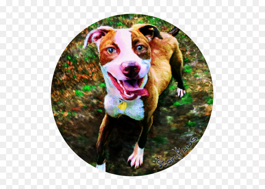 Dog Catches Something, HD Png Download - pit bull png
