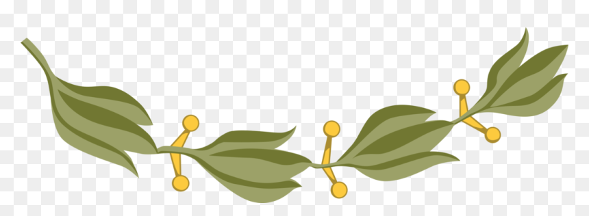 Laurel Branch Mexico, HD Png Download - leaf crown png