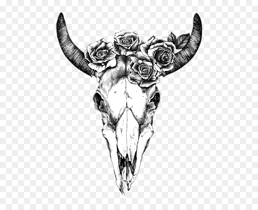Texas Longhorn Drawing Human Skull Symbolism Bull - Bull Skull, HD Png Download - bull skull png