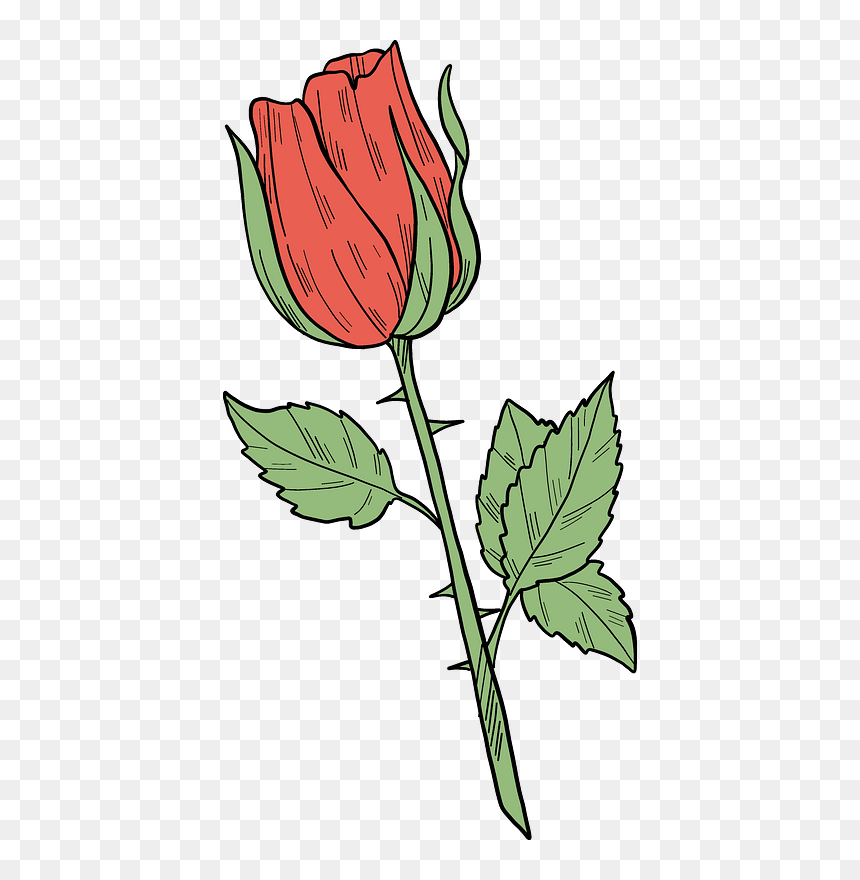 Red Rose Clipart - Rose, HD Png Download - rose bud png