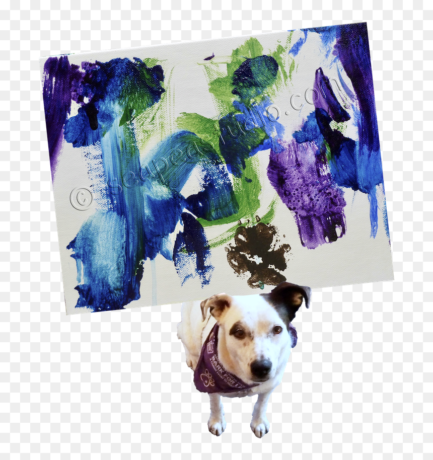 Pit Bull , Png Download - Companion Dog, Transparent Png - pit bull png