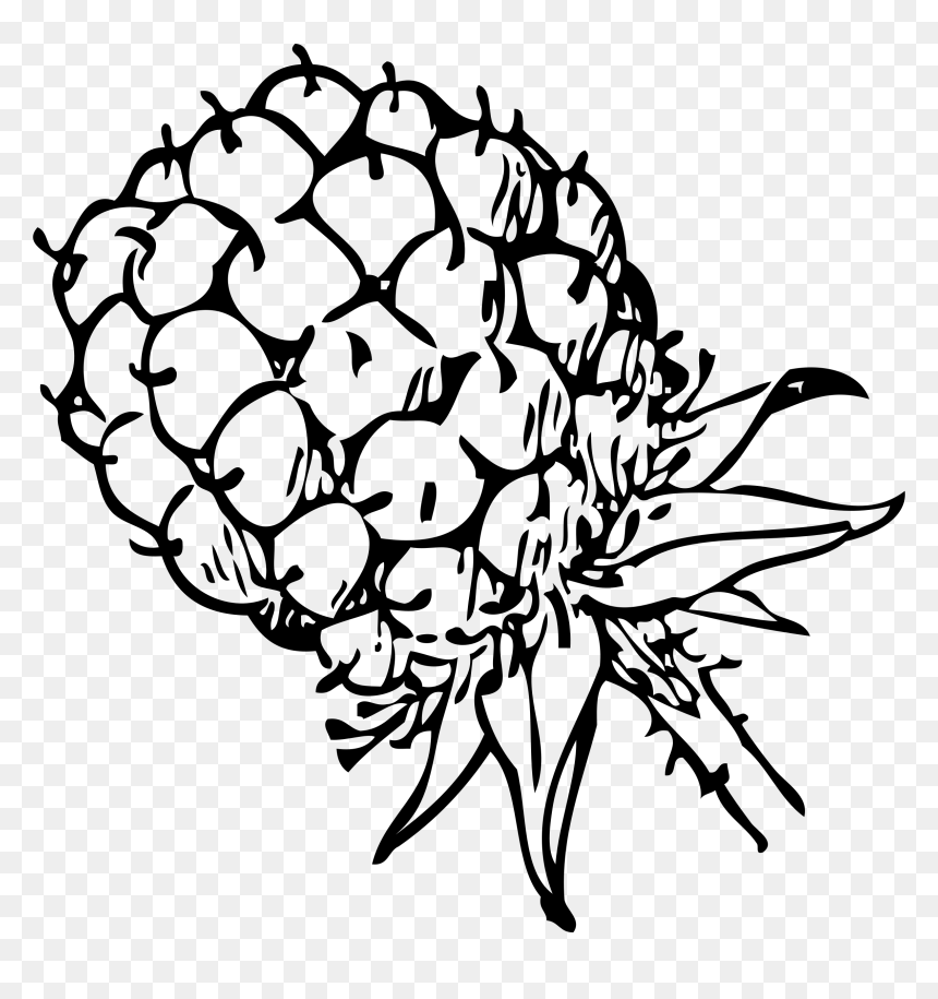 Blackberry 1 Clip Arts - Blackberry Clip Art, HD Png Download - blackberry png