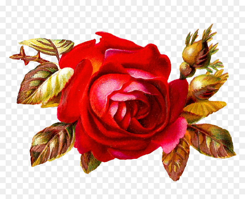 Clip Art, HD Png Download - rose bud png