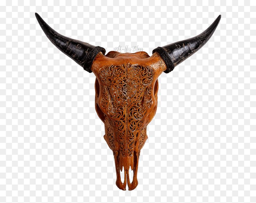 Carved Cow Skull - Bull Skalls, HD Png Download - bull skull png