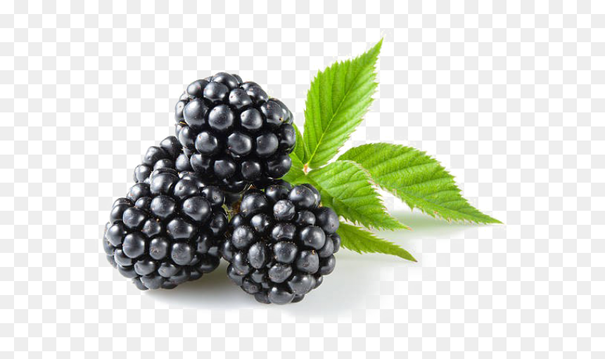 Blackberry Fruit Png Transparent Images - Fruit Diet 7 Days, Png Download - blackberry png