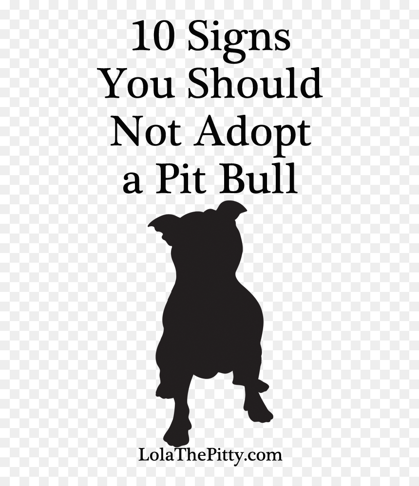 10 Signs You Shouldn"t Adopt A Pit Bull - Pit Bull Signs, HD Png Download - pit bull png