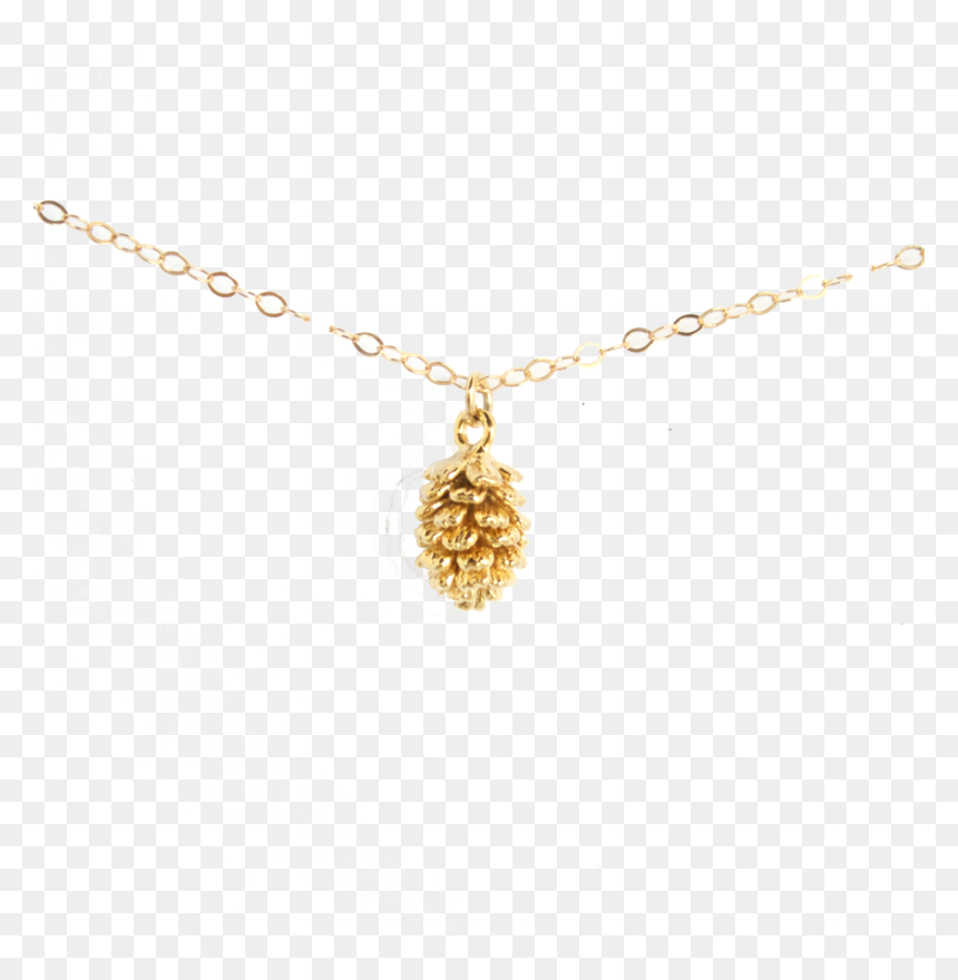 Locket, HD Png Download - pinecone png