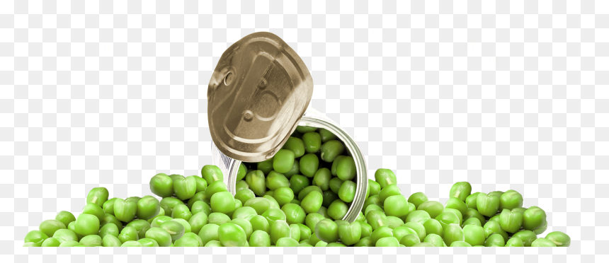 Una Lata Abierta De Chícharos - Snap Pea, HD Png Download - pea png