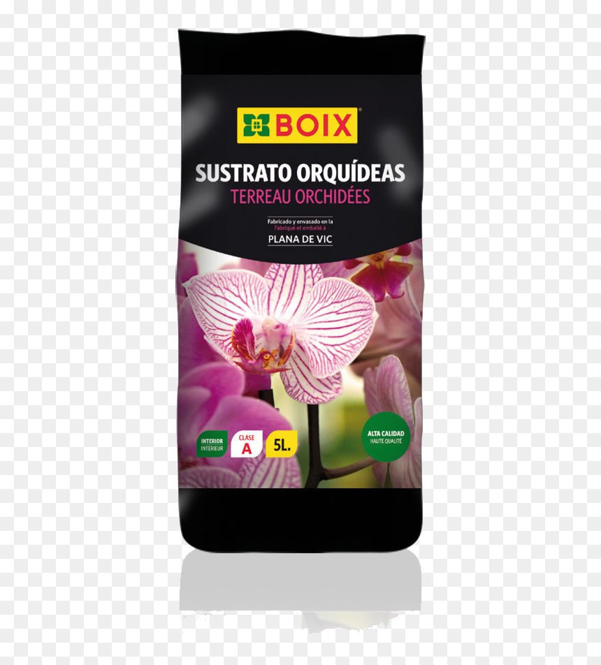 Orchids , Png Download - Moth Orchid, Transparent Png - orchids png