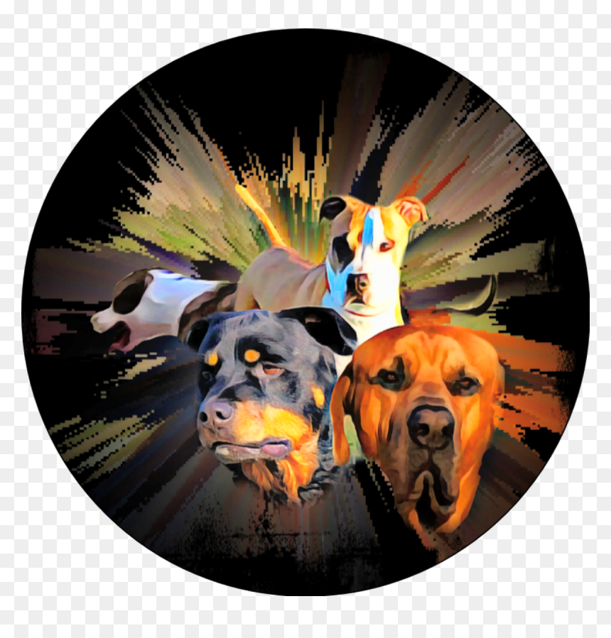 Rottweiler, HD Png Download - pit bull png
