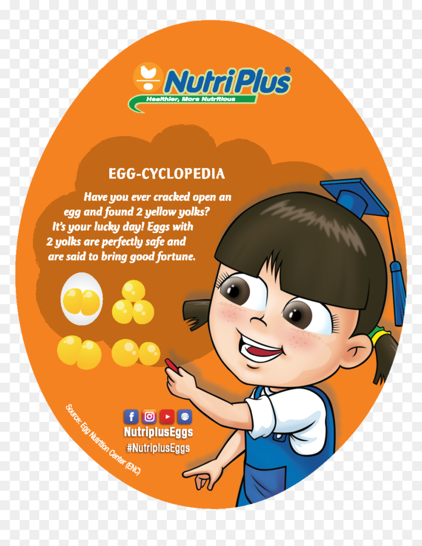 Coaster V4 Website Back2-06 - Nutriplus, HD Png Download - cracked egg png