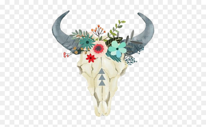#bull #toro #skeleton #pngstickers #png #watercolor - Boho Cow Skull Png, Transparent Png - bull skull png