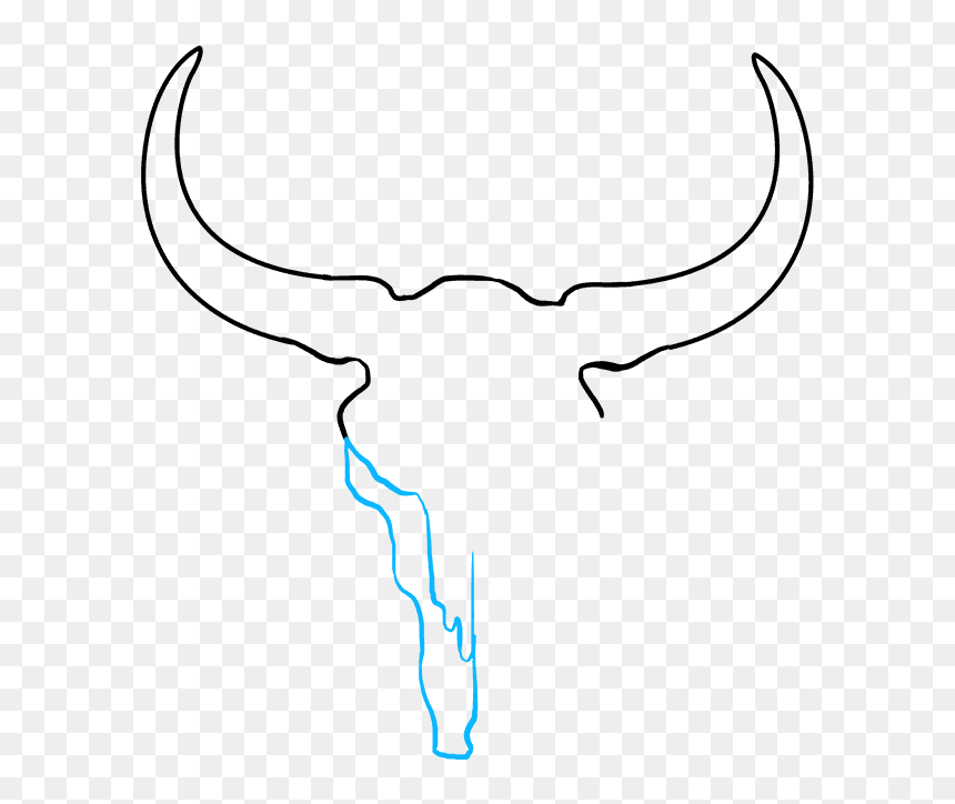 How To Draw Bull Skull - Draw A Cow Skull, HD Png Download - bull skull png